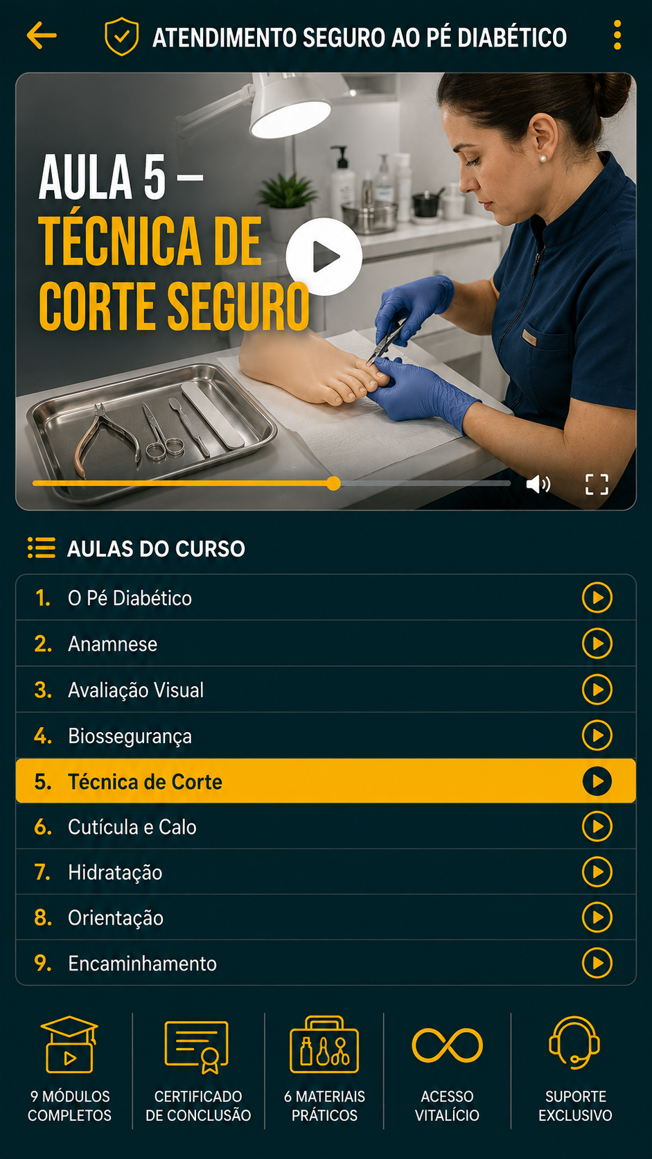 Vídeo aula 1